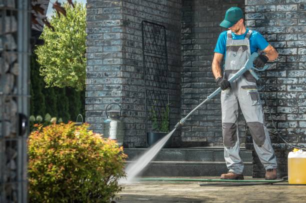 Trusted Alamo, CA Pressure Washing Services Experts